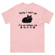 Funny Indoor Kitten T Shirt, Cute Cat Lover Tee Sport