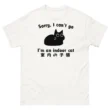 Funny Indoor Kitten T Shirt, Cute Cat Lover Tee Sport