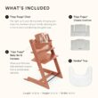 Stokke Tripp Trapp High Chair 2 (Terracotta), Cushion 2 (Terracotta) + Stokke Tray (White) - Includes Chair + Baby Set 2 with Removable Harness for Children 6-36 Months