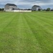 Outsidepride Maya (Blackjack II) Bermuda Grass Seed - 50 lbs Warm Season, Drought Tolerant, Fast Growing, Fine-Textured Bermuda Grass Seeds for Lawn, Parks, Golf Courses & Sports Fields