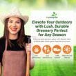 Outsidepride Maya (Blackjack II) Bermuda Grass Seed - 50 lbs Warm Season, Drought Tolerant, Fast Growing, Fine-Textured Bermuda Grass Seeds for Lawn, Parks, Golf Courses & Sports Fields