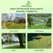 Outsidepride Royal TXD Bermuda Grass Seed Blend - 25 lbs. Warm Season, Fast Growing Turf Grass Seeds: Heat & Drought Tolerant, Ideal for Home Lawns & Sports Fields, Dense & Lush Green Coverage