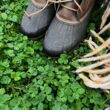 Micro Clover Seed for Lawn - 25 Lb Bulk - ~10 Million Microclover Seeds for Planting - Drought-Tolerant Mini Grass Alternative by Mountain Valley Seed Company