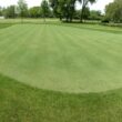 Outsidepride V8 Creeping Bentgrass Seed - 25 lbs. Fine-Bladed, Premium Quality Turf, Grass Seeds for Smooth Surface, & High-Traffic Areas, Ideal Grass for Golf Courses Putting Greens, & Fairways