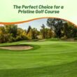 Outsidepride V8 Creeping Bentgrass Seed - 25 lbs. Fine-Bladed, Premium Quality Turf, Grass Seeds for Smooth Surface, & High-Traffic Areas, Ideal Grass for Golf Courses Putting Greens, & Fairways
