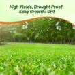 Outsidepride Forage Bermuda Seeds - 50 lb. Perennial, Drought Tolerant & Fast-Growing, Pasture Seeds for Planting Large Grass Leaves, Ideal for Hay Foraging & Rotational Grazing