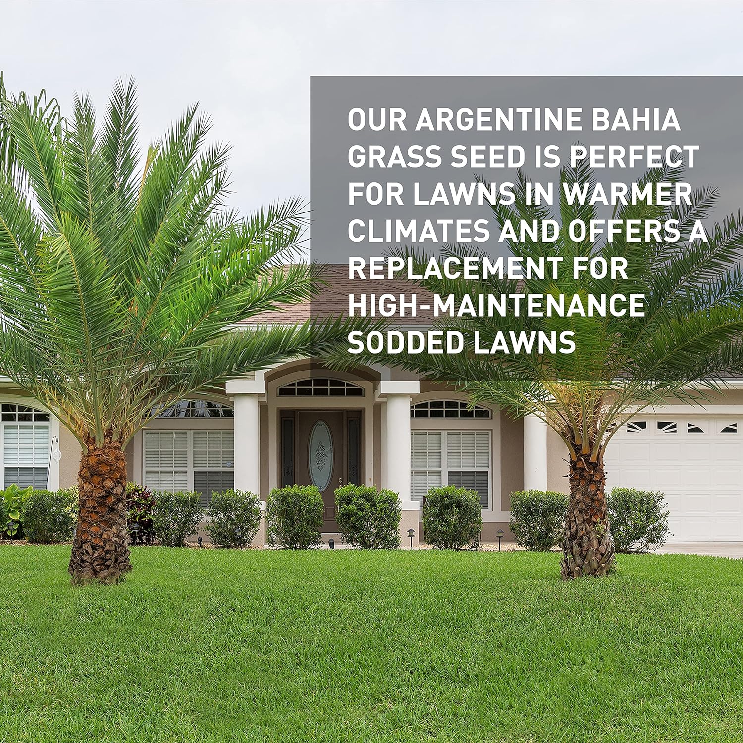 Hancock's Argentine Bahia Grass Seed - Coated - 50 lbs. Hancock's Argentine Bahia Grass Seed - Coated - 50 lbs.