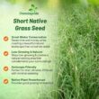 Outsidepride Perennial Short Native Grass Seed Mix - 25 lbs. Premium Mix of Blue Grama, Buffalo, Sideoats Grama, & Sheep’s Fescue Grass Seeds for Low-Maintenance, Heat & Drought-Tolerant Landscaping