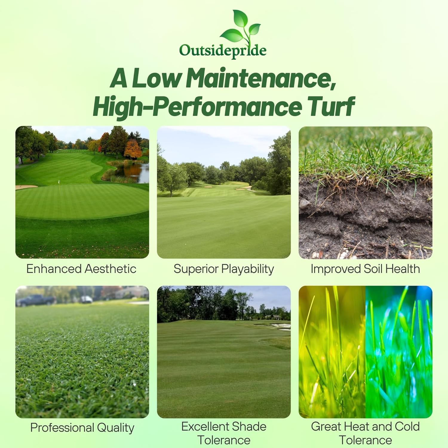 Outsidepride Crystal Bluelinks Creeping Bent Grass Seed - 25 lbs. Dense Turf Grass Outsidepride Crystal Bluelinks Creeping Bent Grass Seed - 25 lbs. Dense Turf Grass for Golf Greens & Putting Surfaces, Fine-Textured, Tolerant to Close Mowing for Smooth, Consistent Lawn Coverage