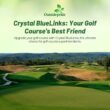 Outsidepride Crystal Bluelinks Creeping Bent Grass Seed - 25 lbs. Dense Turf Grass Outsidepride Crystal Bluelinks Creeping Bent Grass Seed - 25 lbs. Dense Turf Grass for Golf Greens & Putting Surfaces, Fine-Textured, Tolerant to Close Mowing for Smooth, Consistent Lawn Coverage