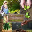 Miniature Clover Seeds - 25 Lb Bulk ~10M Seeds - Small Leaf White Clover - Low Growing Nitrogen Fixing Lawn Clover & Cover Crop - Non-GMO, Perennial