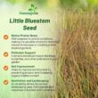 Outsidepride Perennial Little Bluestem Grass Seed - 25 lbs. Warm Season, Drought Resistant, Long-Lived Native Prairie Grass Seed, Ideal for Erosion Control, Ornamental Landscaping & Wildlife Gardens