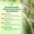 Outsidepride Indian Native Grass Seed - 25 lbs. Perennial, Low Maintenance, Drought-Tolerant Prairie Grass Seed for Wildlife Habitat, Livestock Forage, Ornamental Landscaping & Erosion Control