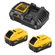 DEWALT 20 -Volt 2 -Pack Lithium-ion ( 8 Ah 8 Ah Battery and Charger )