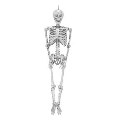 5 Ft. Posable Disco Skeleton Halloween Decoration