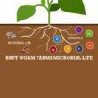 Brut Worm Farms 23.1 Quart(s) All-purpose Organic Potting soil mix