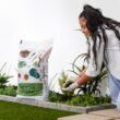 Brut Worm Farms 23.1 Quart(s) All-purpose Organic Potting soil mix
