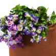 Good Ideas 50-Gallon Orange Plastic Rain Barrel Spigot