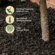 GroundSmart 37.5-cu ft Black Rubber Nuggets Bulk Rubber Mulch Certified for Playgrounds IPEMA Recycled Bulk Mulch