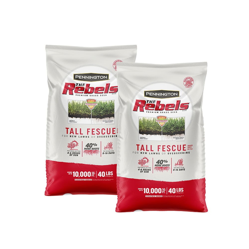 Pennington The Rebels 2 -Pack 40-lb Tall Fescue Grass Seed Pennington The Rebels 2 -Pack 40-lb Tall Fescue Grass Seed