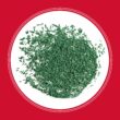 Pennington The Rebels 2 -Pack 40-lb Tall Fescue Grass Seed Pennington The Rebels 2 -Pack 40-lb Tall Fescue Grass Seed