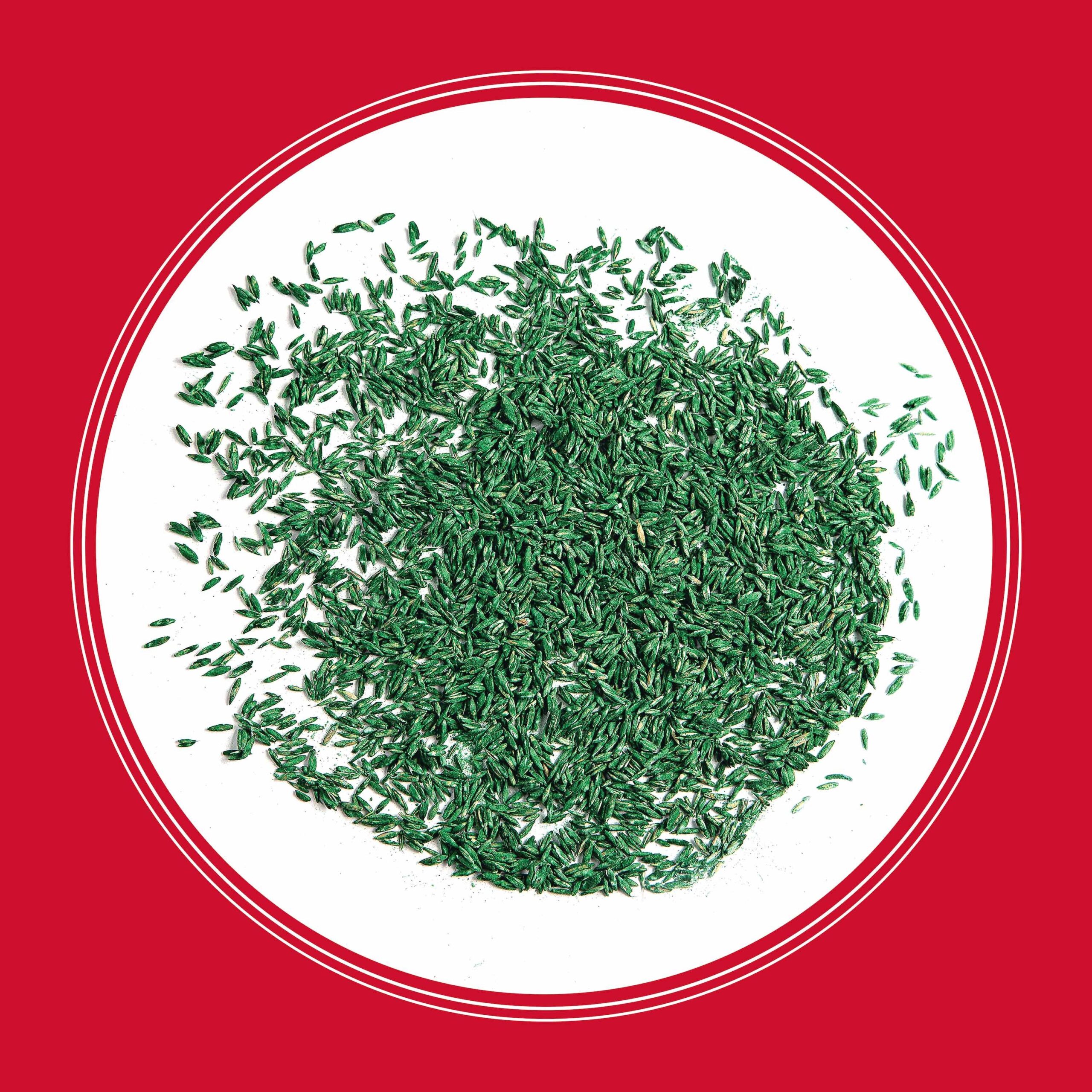 Pennington The Rebels 2 -Pack 40-lb Tall Fescue Grass Seed Pennington The Rebels 2 -Pack 40-lb Tall Fescue Grass Seed