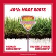 Pennington The Rebels 2 -Pack 40-lb Tall Fescue Grass Seed Pennington The Rebels 2 -Pack 40-lb Tall Fescue Grass Seed