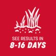 Pennington The Rebels 2 -Pack 40-lb Tall Fescue Grass Seed Pennington The Rebels 2 -Pack 40-lb Tall Fescue Grass Seed