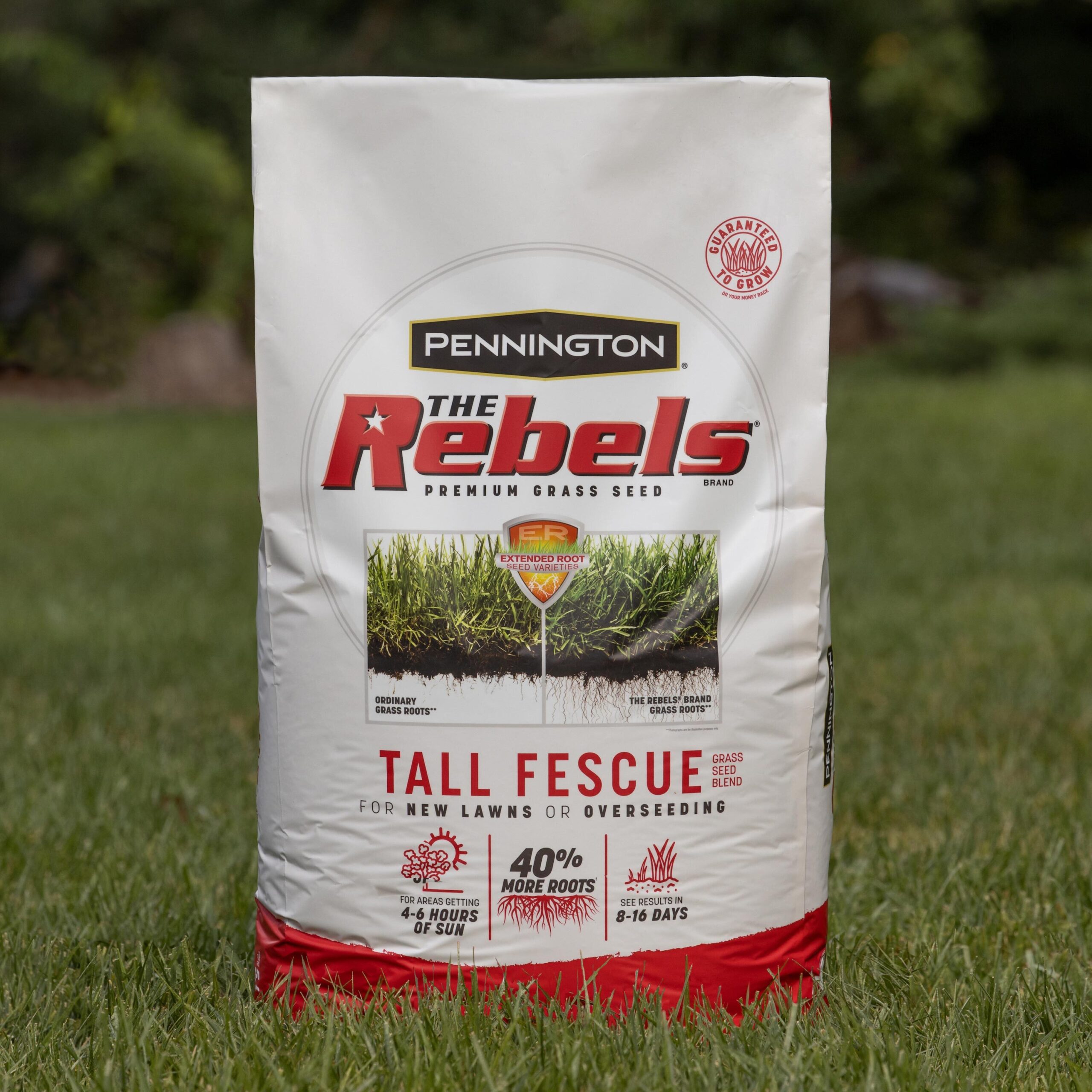 Pennington The Rebels 2 -Pack 40-lb Tall Fescue Grass Seed Pennington The Rebels 2 -Pack 40-lb Tall Fescue Grass Seed