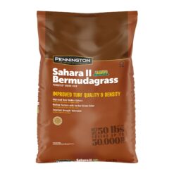 Pennington Sahara 50-lb Bermuda Grass Seed