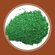 Pennington Sahara 50-lb Bermuda Grass Seed Pennington Sahara 50-lb Bermuda Grass Seed