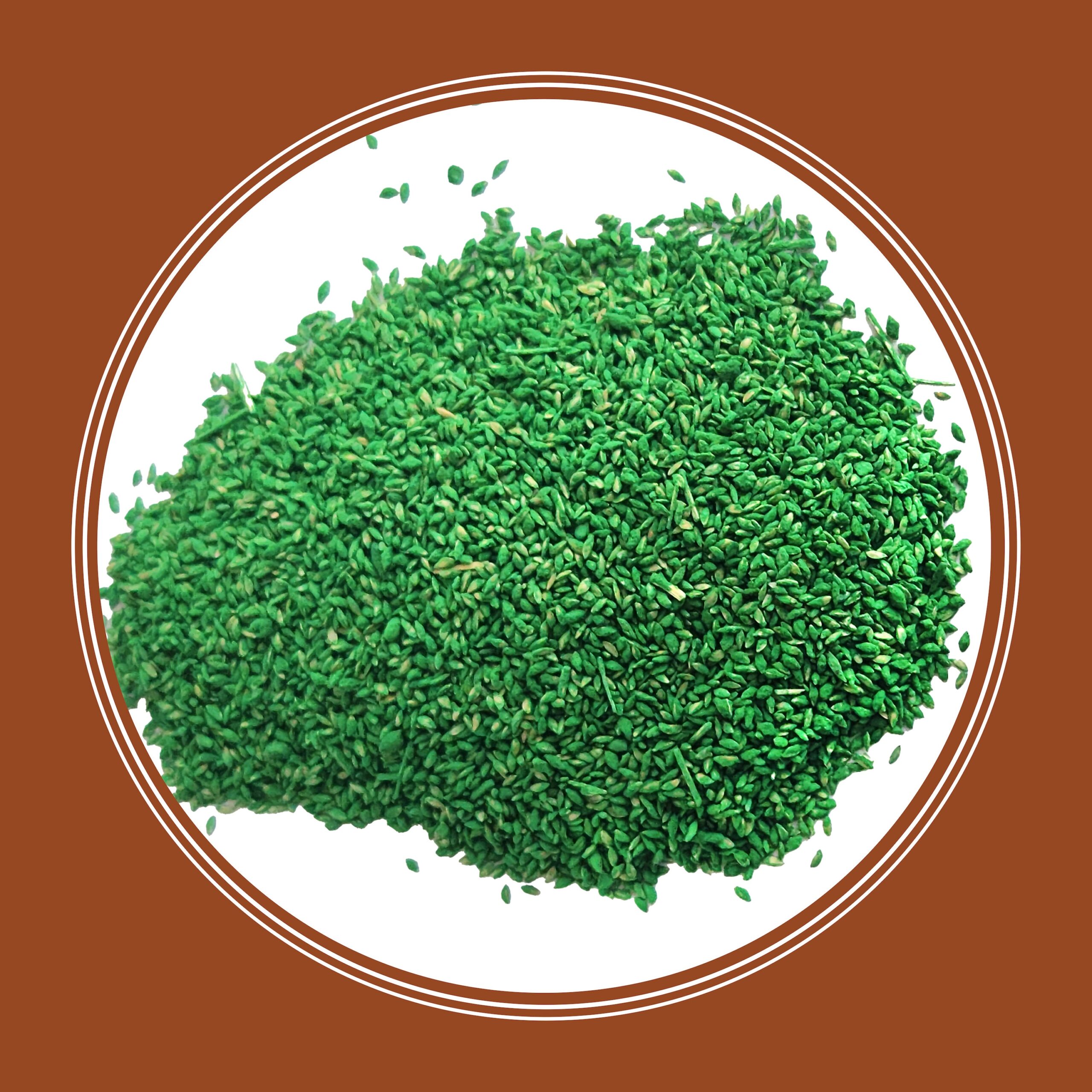 Pennington Sahara 50-lb Bermuda Grass Seed Pennington Sahara 50-lb Bermuda Grass Seed