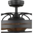 Progress Lighting Bastrop 26-in Outdoor Graphite with Aged Oak Blades Fandelier Ceiling Fan Without Light - Remote Included ( 3 -Blade )