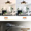 Parrot Uncle 52-in Integrated LED Smart Black with Matte Blades Chandelier Ceiling Fan With Light - Remote Included ( 3 -Blade )
