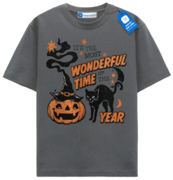 Black Cat Pumpkin Witch T Shirt