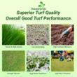 Outsidepride Royal TXD Bermuda Grass Seed Blend - 25 lbs. Warm Season, Fast Growing Turf Grass Seeds: Heat & Drought Tolerant