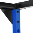 Fuel Pureformance 6-Foot Adjustable Full Cage Power Rack, Blue