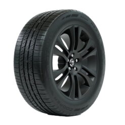 Cooper Zeon RS3-G1 All Season 255/45R20 101W Passenger Tire