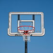 Lifetime 44-Inch Shatterproof Portable Basketball Hoop With Telescoping Adjustment & Classic Rim - Model 90690-Outdoor Play