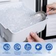 COWSAR 66-lb Ice Per day Nugget Ice Maker (Stainless Steel) COWSAR 66-lb Ice Per day Nugget Ice Maker (Stainless Steel)