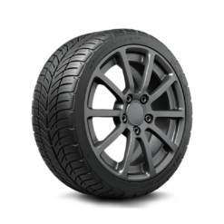BFGoodrich g-Force COMP-2 A/S PLUS All-Season 275/35ZR19/XL 100W Tire