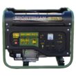 Sportsman Compact Lightweight CO Detecting Auto Shutoff 4000 / 3500 -Watt Dual fuel Portable Generator