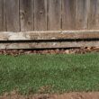 DURAGRASS Artificial grass Hybrid Turf Patch 25-ft x 3-ft Artificial Grass