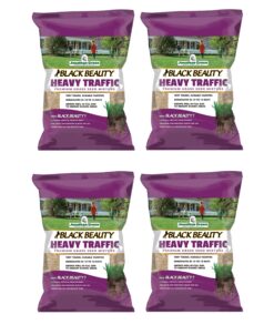 Jonathan Green Black Beauty Heavy Traffic Premium Grass Seed Mixture - 25lb Pack of 4 for Durable Lawns