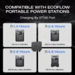 EcoFlow DELTA 2 with 800W Alternator Charger 1800 -Watts Portable Power Station