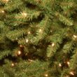 National Tree Company 7.5 ft Pre-Lit Dunhill Fir Artificial Christmas Tree, 700 LED Lights, 2,514 Tips, Foot Pedal, 10 Light Functions, Includes Stand, Green
