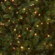 National Tree Company 7.5 ft Pre-Lit Downswept Douglas Fir Artificial Christmas Tree, 750 LED Lights, PowerConnect, Foot Pedal, 10 Light Functions, 1,867 Tips, Includes Stand, Green