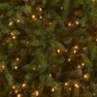 National Tree Company 12 ft Pre-Lit Dunhill Fir Artificial Christmas Tree, 1,500 Clear Lights, 7,794 Tips, Includes Stand, Green