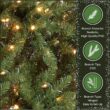 National Tree Company 9 ft Pre-lit Artificial Christmas Tree, Dunhill Fir, 800 Clear Lights National Tree Company 9 ft Pre-lit Artificial Christmas Tree, Dunhill Fir, 800 Clear Lights, 2,100 Tips, Slim Profile, Includes Stand, Green