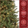 National Tree Company 9 ft Pre-lit Artificial Christmas Tree, Dunhill Fir, 800 Clear Lights National Tree Company 9 ft Pre-lit Artificial Christmas Tree, Dunhill Fir, 800 Clear Lights, 2,100 Tips, Slim Profile, Includes Stand, Green